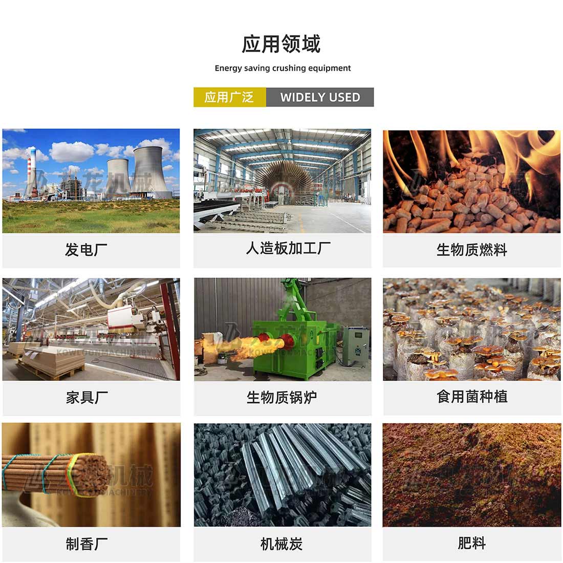 ���͘�֦����C��(y��ng)���I(l��ng)��